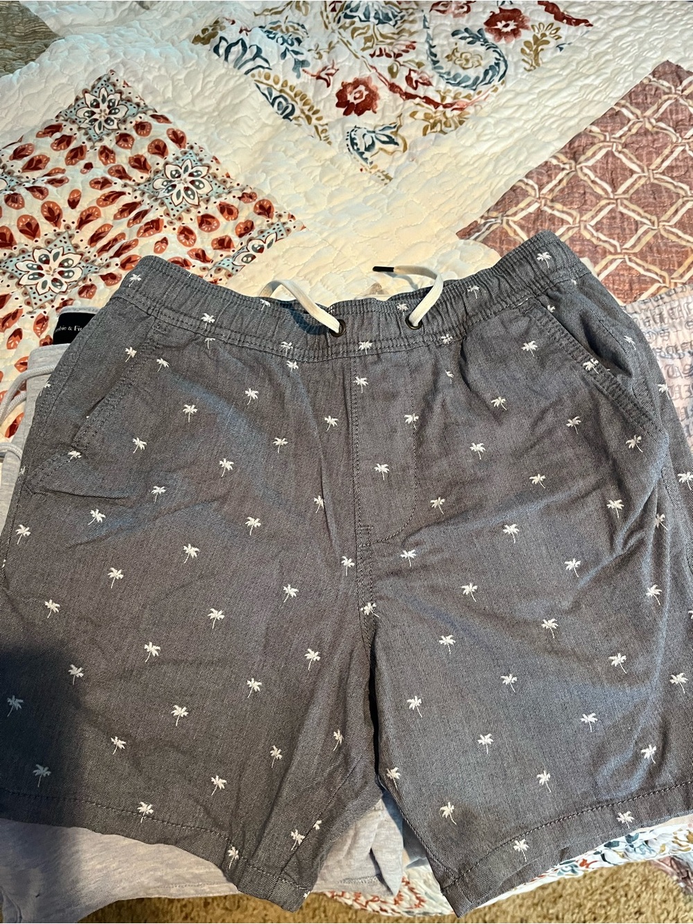 Hollister Blue Palm-Embroidered Drawstring Shorts